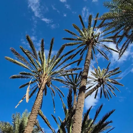 Tana Del Marinaio *